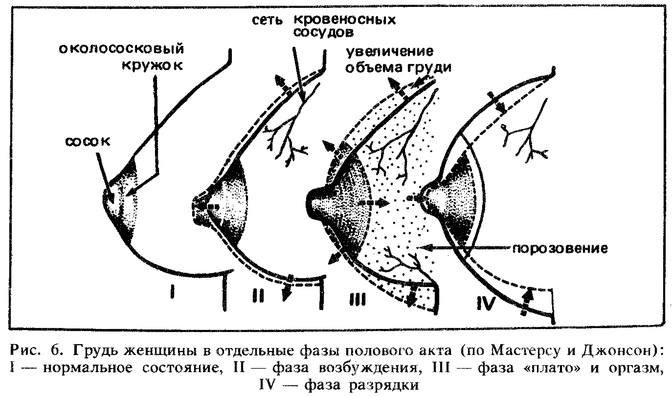 Искусство любви - читать бесплатно онлайн полную версию книги автора  Михалина Вислоцкая (ГЛАВА 3. ИНТИМНЫЙ МИР ЛЮБВИ) #6