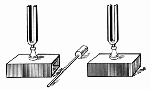 Зачем у камертона две ножки. Звук Камертон резонаторный ящик. Камертон на резонансном ящике. Резонатор для камертона 187 мм. Камертон это в физике.