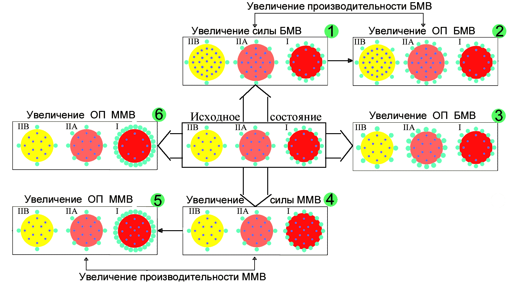 Теория и методика подтягиваний (части 1-3) - читать бесплатно онлайн полную  версию книги автора А. Н. Кожуркин (Глава 7. Развитие динамической силовой  выносливости мышц, участвующих в подтягивании.) #9