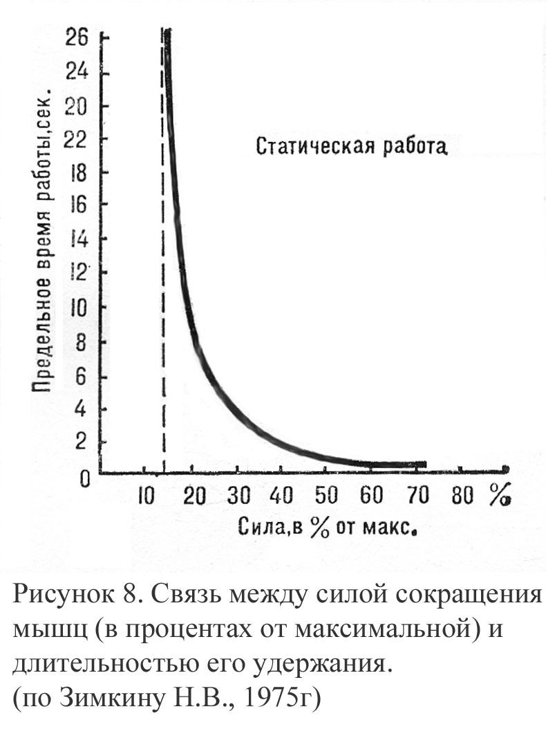 Теория и методика подтягиваний (части 1-3) - читать бесплатно онлайн полную  версию книги автора А. Н. Кожуркин (Глава 1. ФИЗИЧЕСКИЕ ОСНОВЫ ПОДТЯГИВАНИЙ  НА ПЕРЕКЛАДИНЕ.) #3