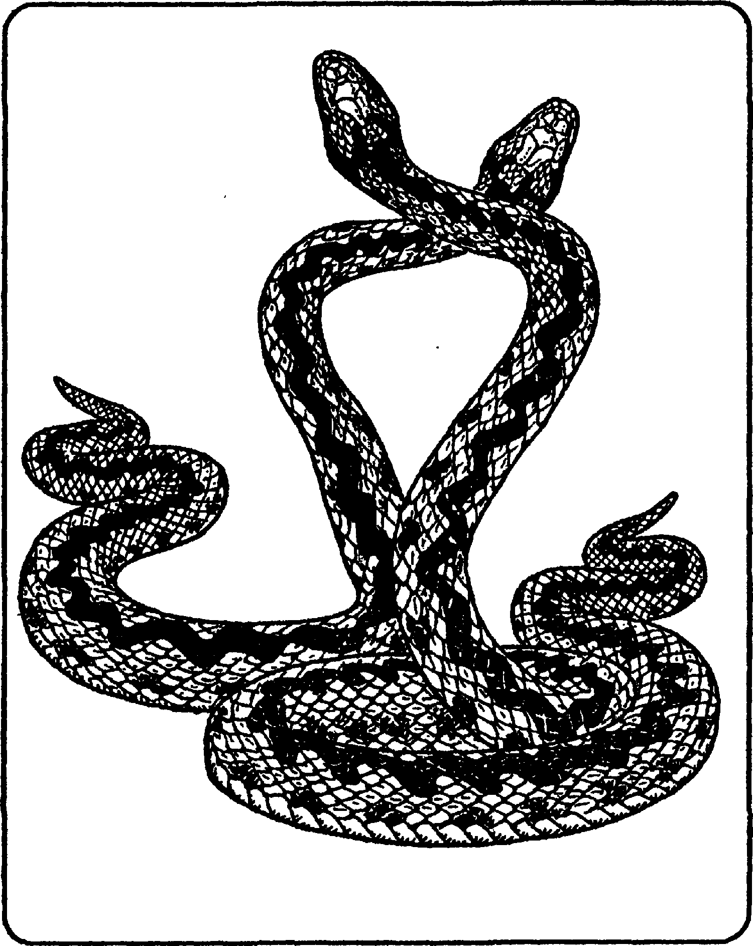 Читать змей 2
