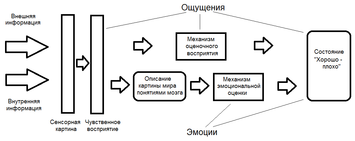 2 ощущение. Ощущение и восприятие схема. Схема возникновения восприятия. Схема возникновения ощущений в психологии. Ощущение и восприятие отличие.