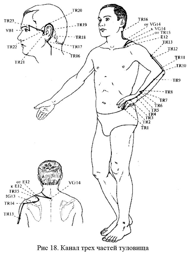 23 точки. Меридианы трех обогревателей Пучко. Энергетические каналы человека Пучко. Каналы по Пучко. Меридиан трех частей туловища.