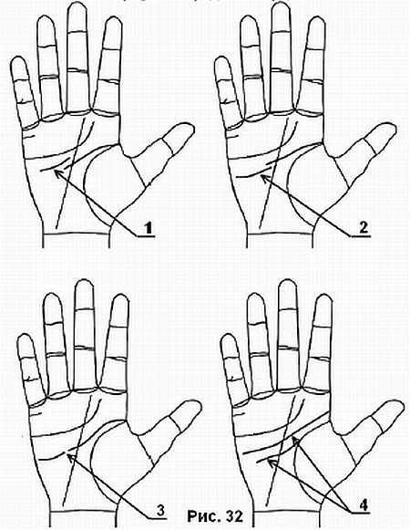 Линия детей на руке: фото с расшифровкой
