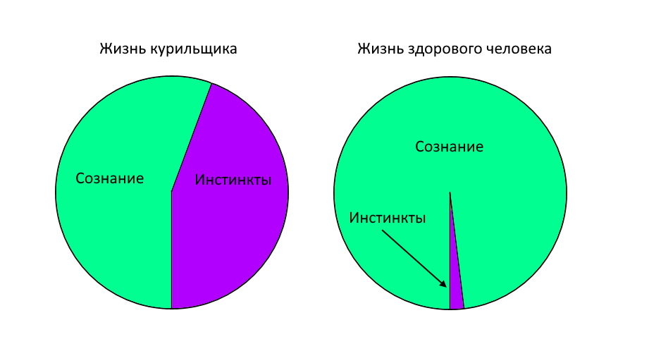 Различие между мастурбацией и онанизмом здесь!