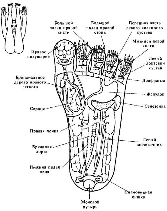 Пак ву су джок