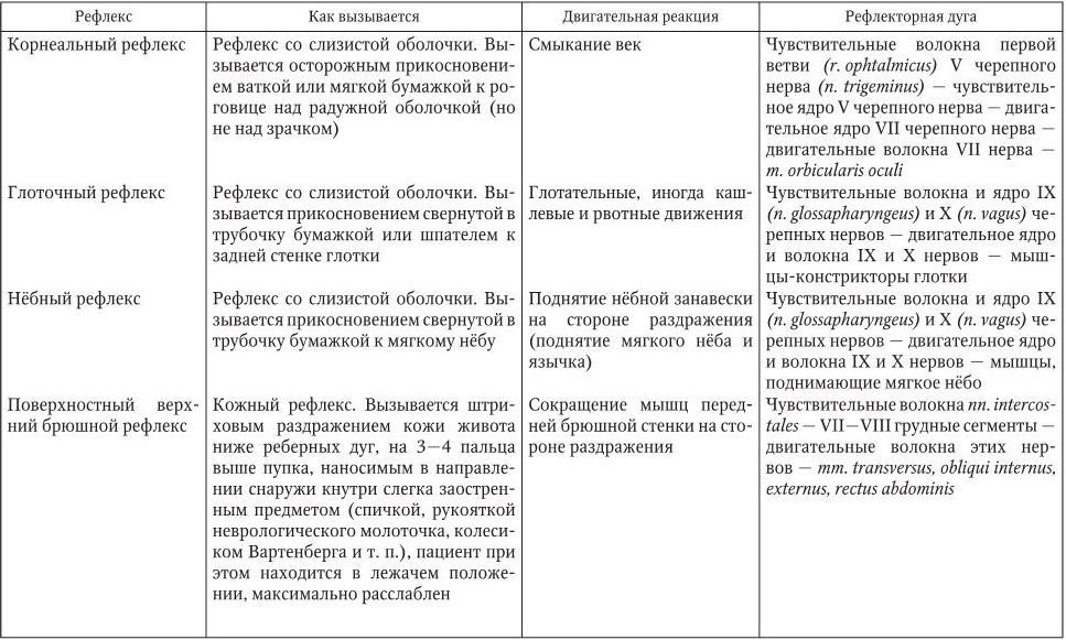 Рефлексы презентация неврология