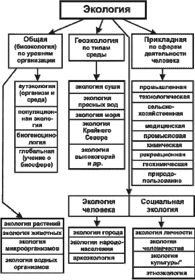 Экология человека. Курс лекций