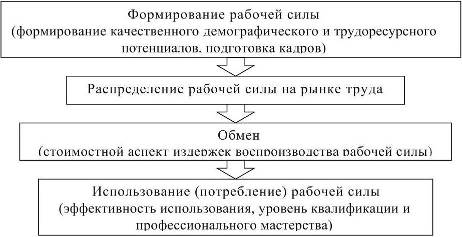 Воспроизводство профессиональных кадров