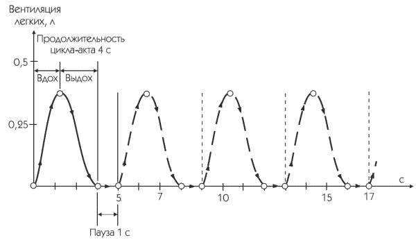 Дыхательный цикл