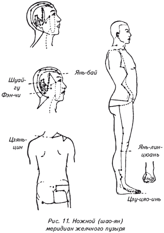 Янь бай. Циркуляция энергии Ци.