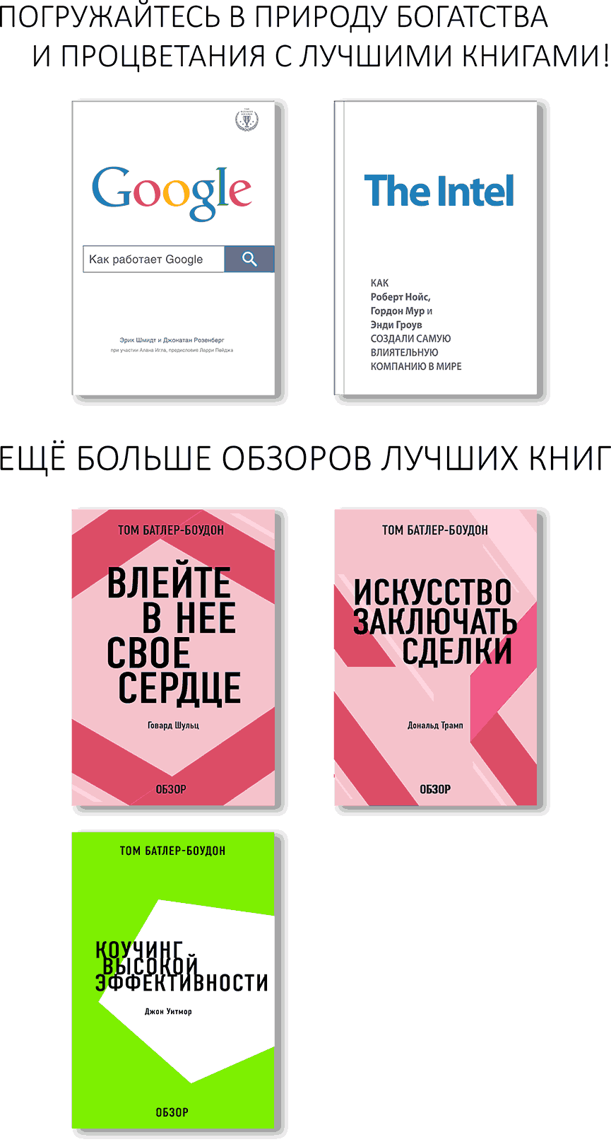 Жесткий диск. Джеймс Уоллес и Джим Эриксон (обзор) (Том Батлер-Боудон) -  читать бесплатно онлайн полную версию книги (ч.2)