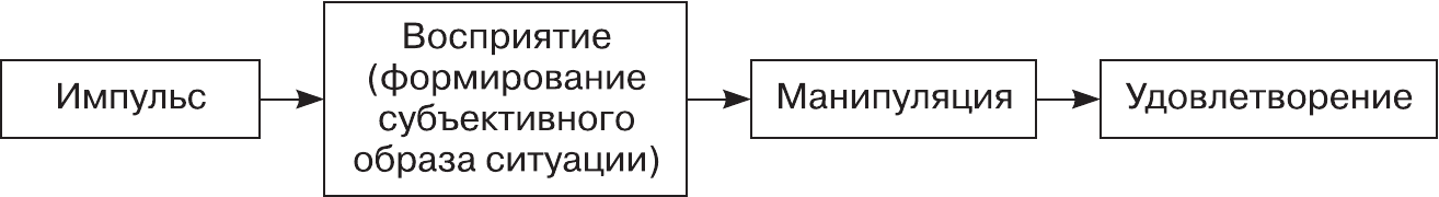 Формирование субъективного образа. Импульс восприятие манипуляция удовлетворение.