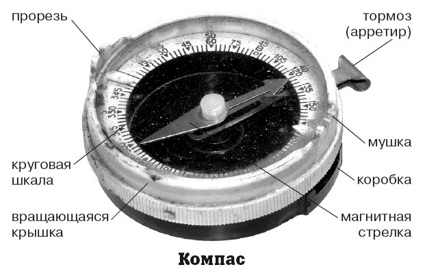 Рисунок магнитного компаса