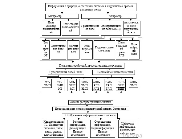 Поли информация