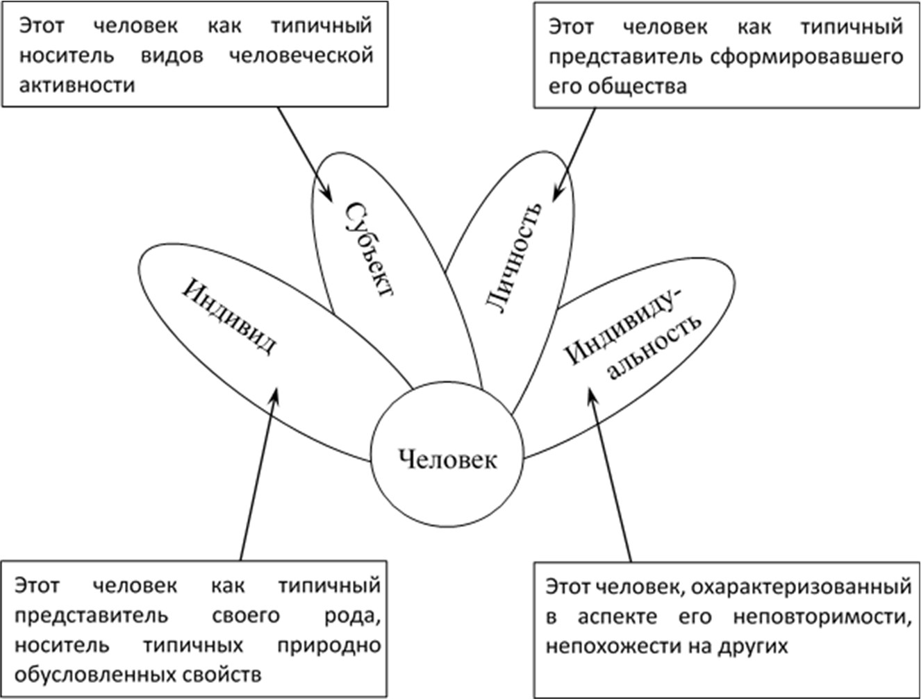 Развитие личности профессионала (Елена Валериевна Голубева) - читать  бесплатно онлайн полную версию книги (Глава 1. Общее представление о  личности и ее развитии) #2