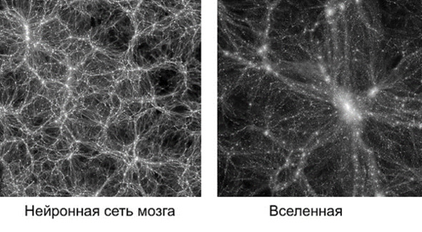 3 сети мозга. Мозг Вселенная. Схожесть мозга и Вселенной. Нейроны мозга и Вселенная. Клетка мозга и Вселенная.