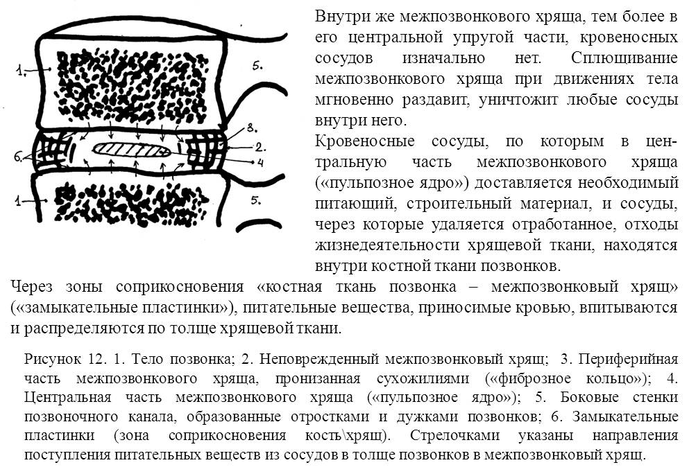 Склероз замыкательных пластинок