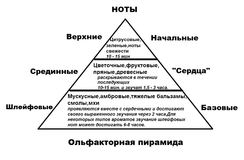 Ноты в парфюмерии. Ольфакторная пирамида аромата. Ольфакторная пирамида эфирных масел. Ноты духов пирамида. Пирамида парфюмерной композиции.