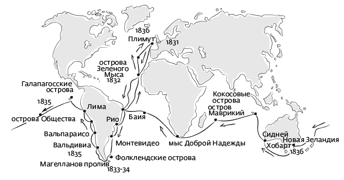 Дарвин карта покупателя