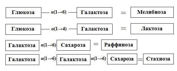 Экскурсия по еде: углеводы. Что нужно знать