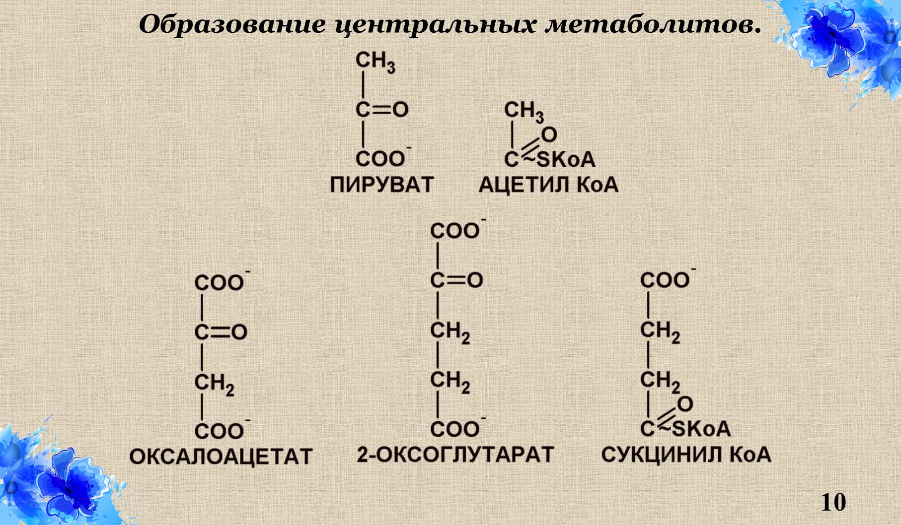 Обмен глицерина. Обмен глицерина до конечных продуктов со2 и н2о. Центральные метаболиты. Промежуточные метаболиты. Превращение полимеров в мономеры.