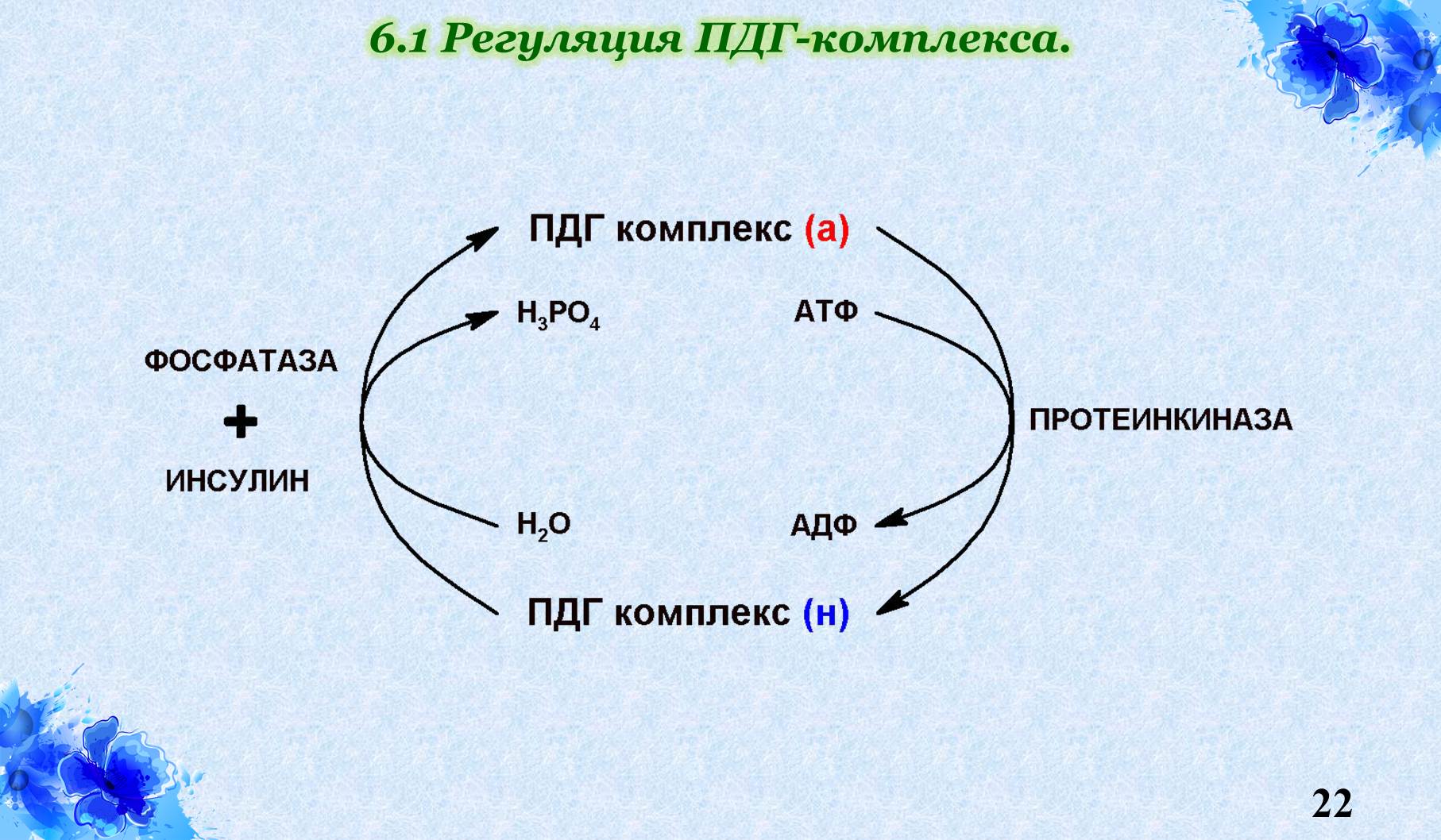 Химизм дыхания