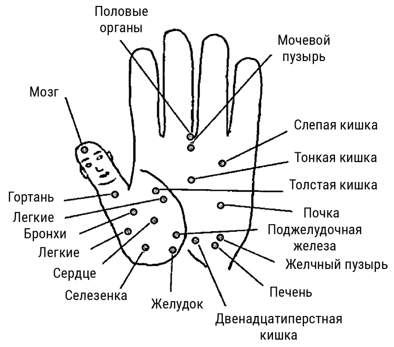 Болезни по ладоням рук определение в картинках