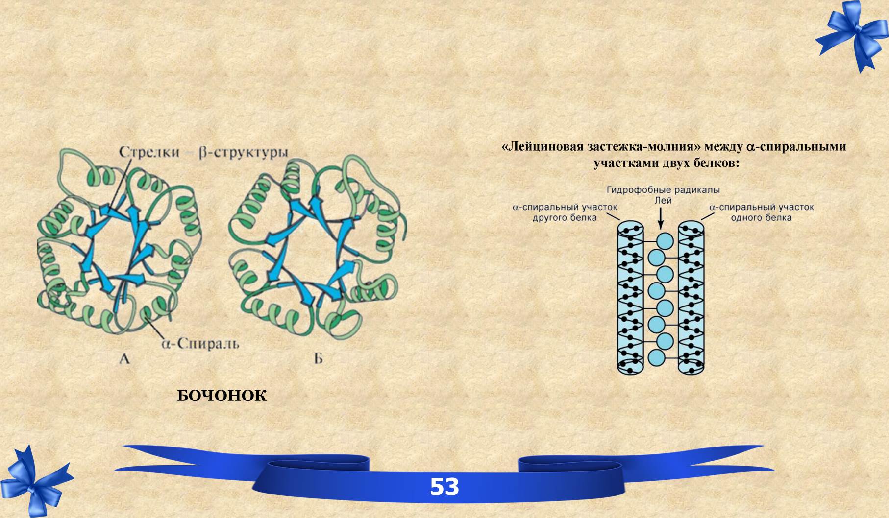 Белков книги