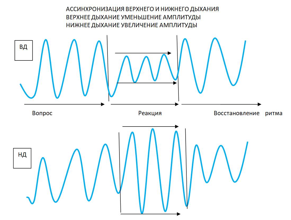 Система 2 4 дыхание